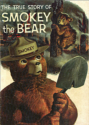 Smokey the Bear
            image link